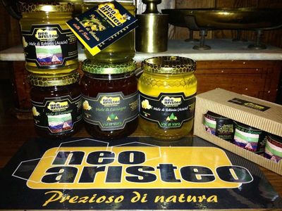 adotta le api di Neo Aristeo