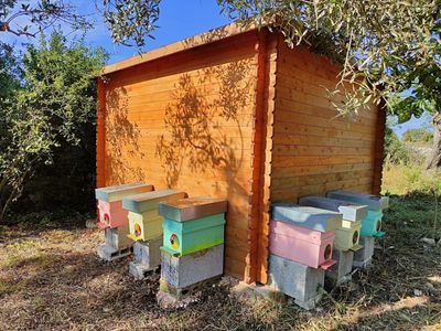 adotta le api di L'Apiario Dei Trifogli