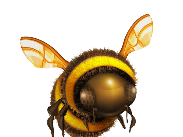 Ape adozione beeing