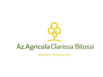 adotta le api di Clarissa Bitossi