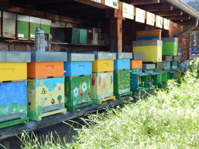 adotta le api di Gocce d’oro Apicoltura e Giardino d’Erbe